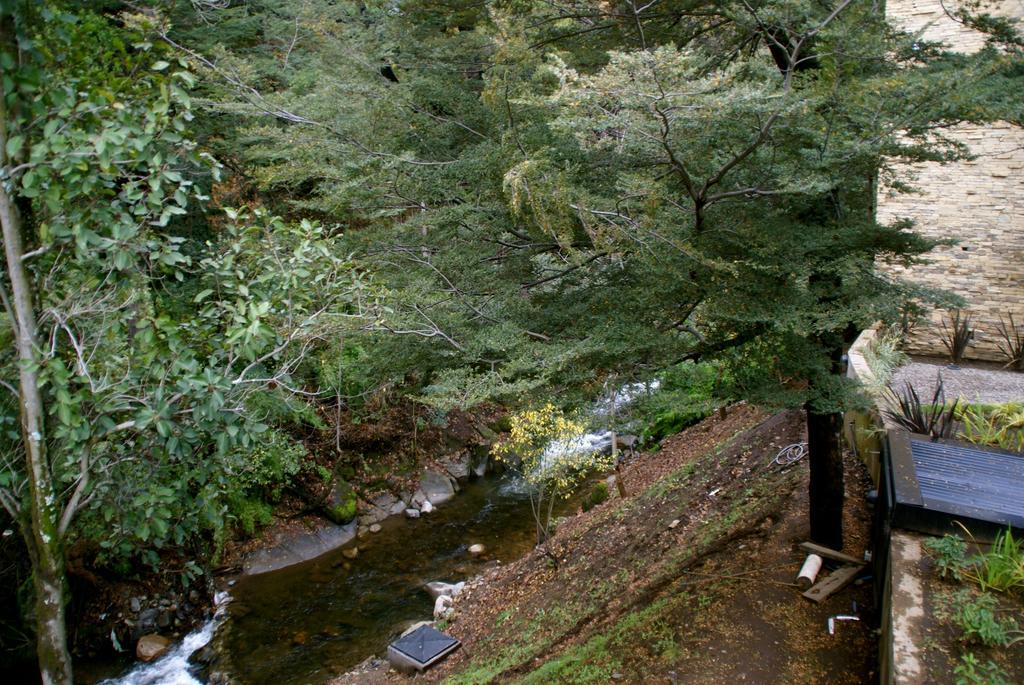 El Oasis Apart Hotel San Martín de los Andes Eksteriør bilde